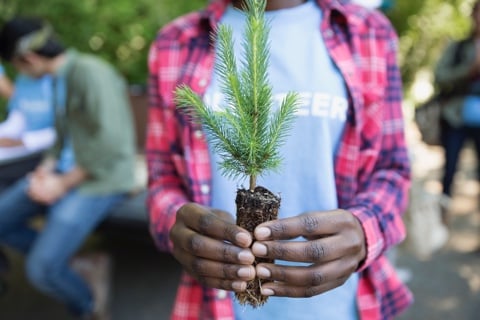 Volunteer Feedback Template