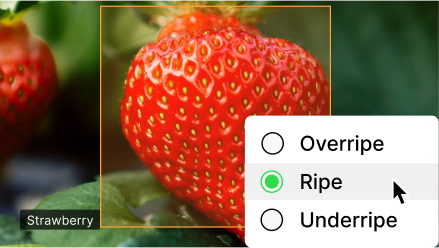 template card: Strawberry Ripeness Detection