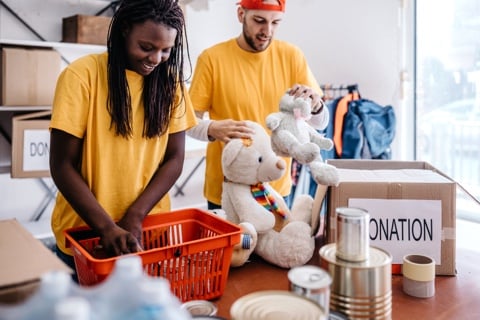 L4G Constituent Feedback Template