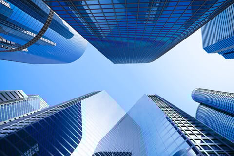 Fortune 100 Company Perception Template